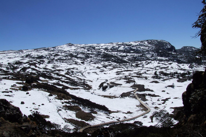 轎子雪山